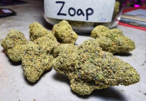 Koupit Zoap Weed