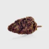 Purple Kinky Kush Superio